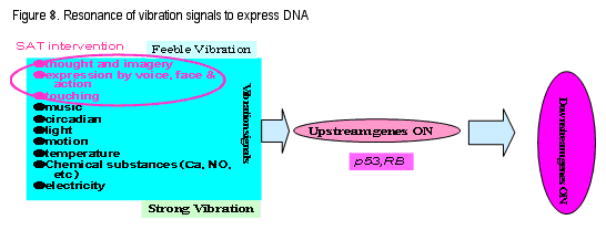 Figure 8